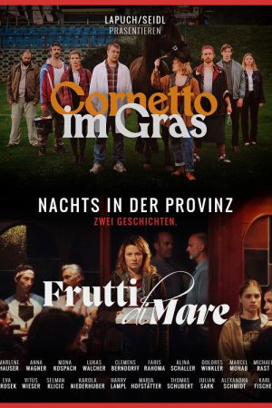 Nachts in der Provinz (2026) poster