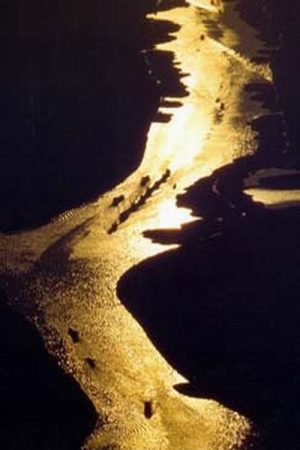 大运河 (2016) poster