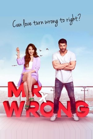 Mr. Wrong (2020) poster