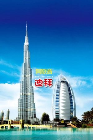 旅行阿联酋 (2016) poster