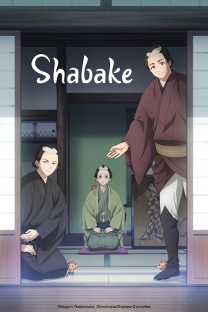 Shabake (2025) poster