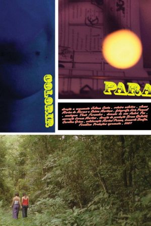 Para Colorir (2021) poster