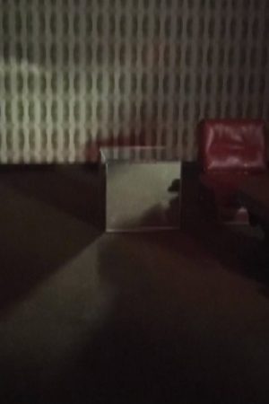 Interior (Fear) (2019) poster