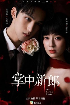 掌中新郎 (2026) poster