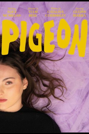 pigeon (2022) poster