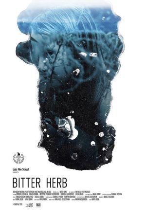 Bitter Herb (2019) poster