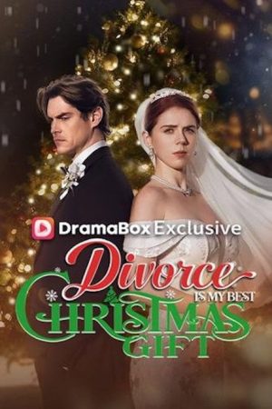 Divorce Is My Best Christmas Gift (2025) poster