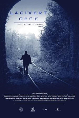 Dark Blue Night (2021) poster