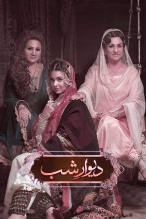 Deewar-e-Shab (2019) poster