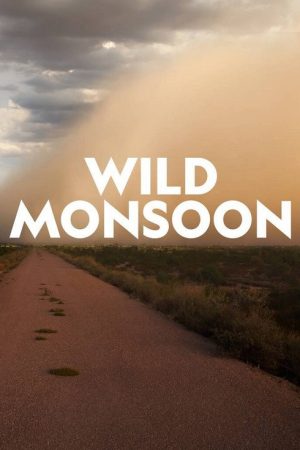 Wild Monsoon (2020) poster