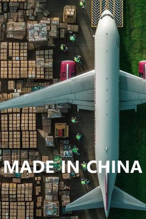 Made in China (2025) poster