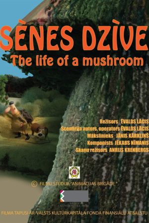 The Life of a Mushroom (2024) poster