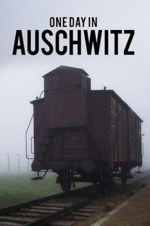 Auschwitz – One Day (2020) poster
