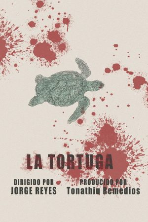 The Turtle (2025) poster