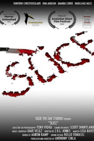 Slice (2020) poster