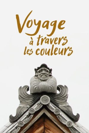 Voyage à travers les couleurs (2017) poster