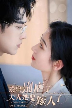 Mr Sang Stop It, She’s Getting Married (2023) poster