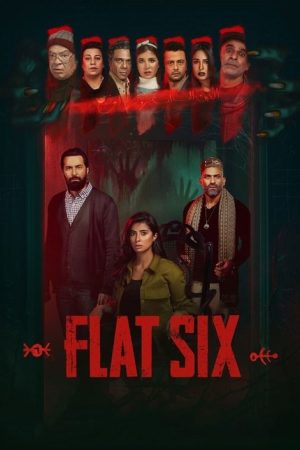 Flat 6 (2021) poster