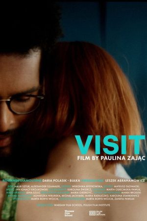 Visit (2024) poster