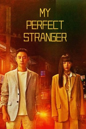 My Perfect Stranger (2023) poster