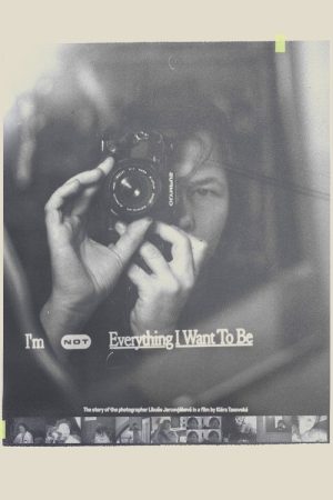 I’m Not Everything I Want to Be (2024) poster