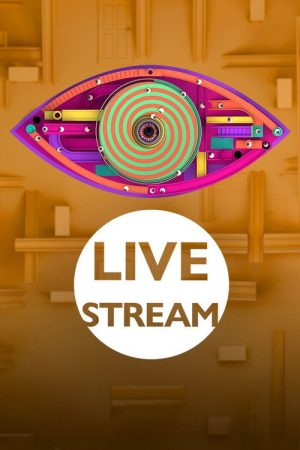 Big Brother: Live Stream (2023) poster