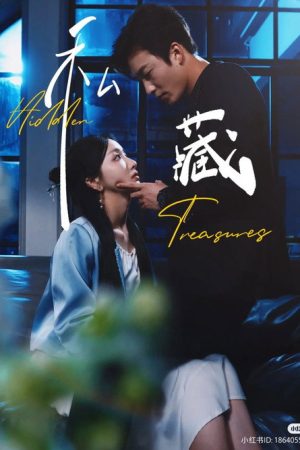 私藏 (2025) poster
