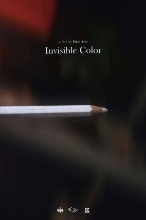 Invisible Color (2026) poster