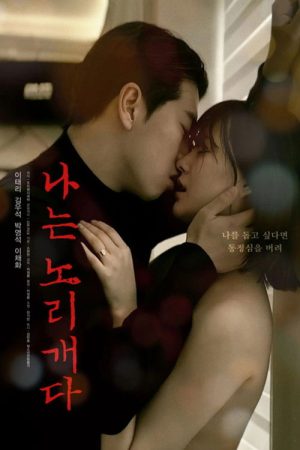 I Am a Plaything (2025) poster