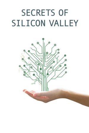 Secrets of Silicon Valley (2017) poster