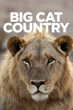 Big Cat Country (2019) poster