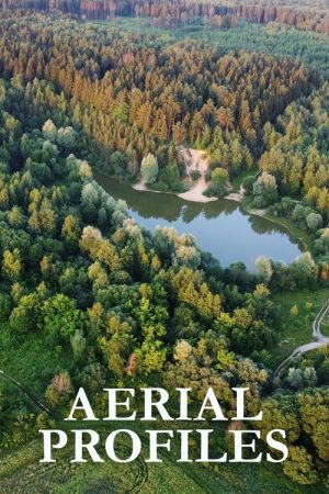 Aerial Profiles (2020) poster
