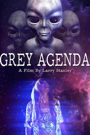 Grey Agenda (2017) poster