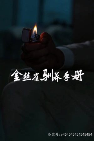 金丝雀驯养手册 (2023) poster