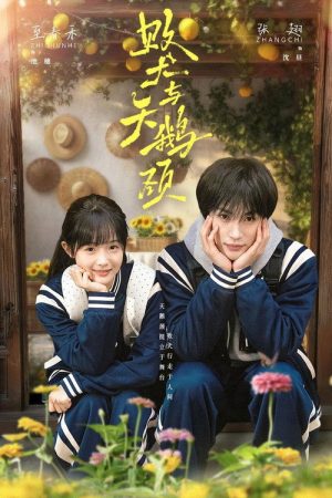 败犬与天鹅颈 (2026) poster