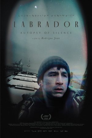 Labrador poster