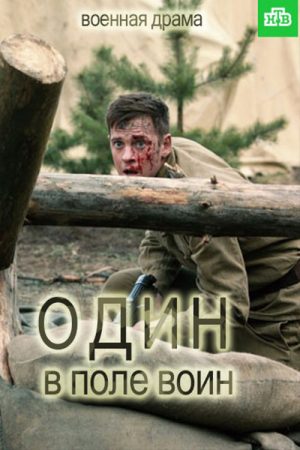 Один в поле воин (2018) poster