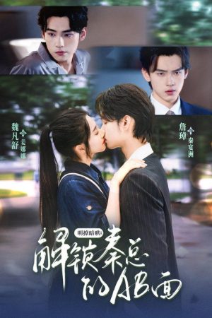 明撩暗哄：解锁秦总的AB面 (2025) poster