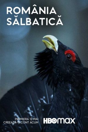 Wild Romania (2022) poster
