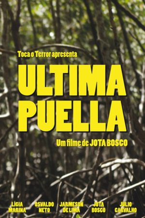 Ultima Puella (2017) poster