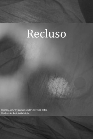 Recluso (2019) poster