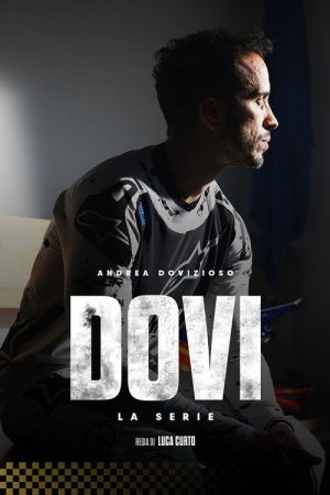 Dovi: La serie (2025) poster