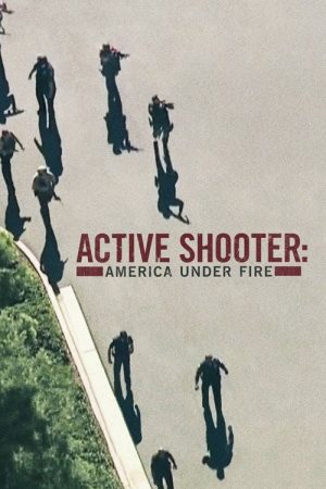 Active Shooter: America Under Fire (2017) poster