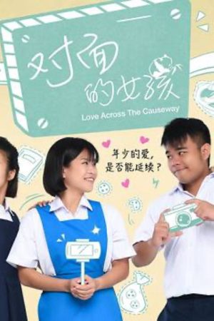 对面的女孩 (2018) poster