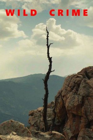 Wild Crime (2021) poster