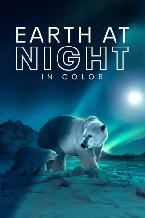 Earth at Night in Colour (2020) poster