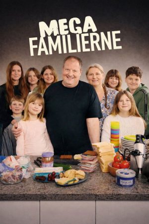 Mega Families (2026) poster