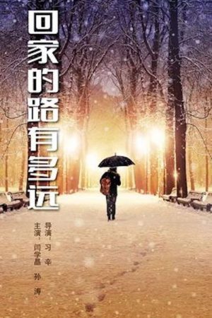 回家的路有多远 (2018) poster