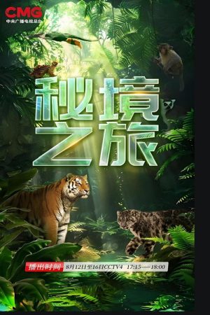 秘境之旅 (2023) poster