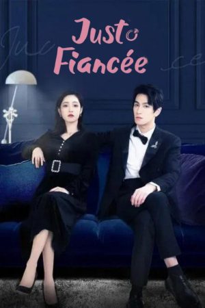 Just Fiancee (2022) poster